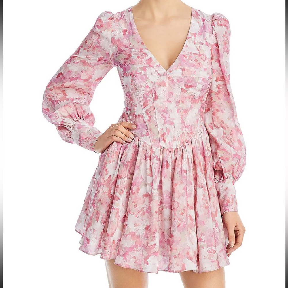 BARDOT 💕 Zelina Mini Fit & Flare Corset Dress NWT Sz 4